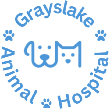 Grayslake Veterinary Hospital