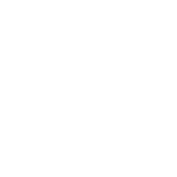 Turtle Town Dental