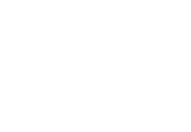 Morrison Dental Group
